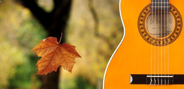 Фон гитара и осень