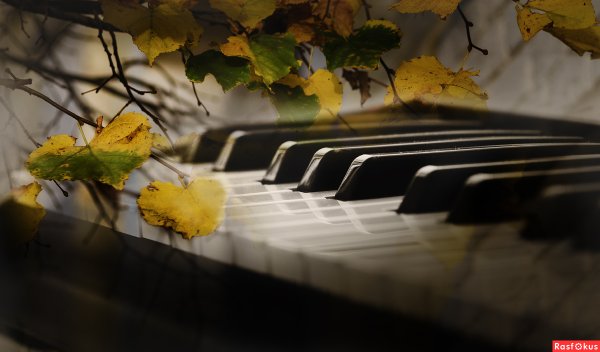 Осеннее фортепиано