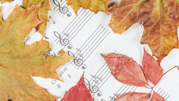 Фон осенняя композиция