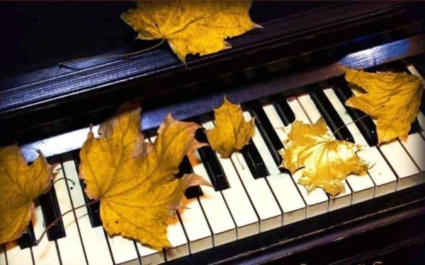 Осенние листья на рояле
