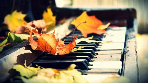 Пианино и листья