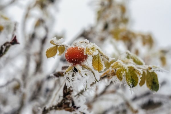 Небольшой снег осенью