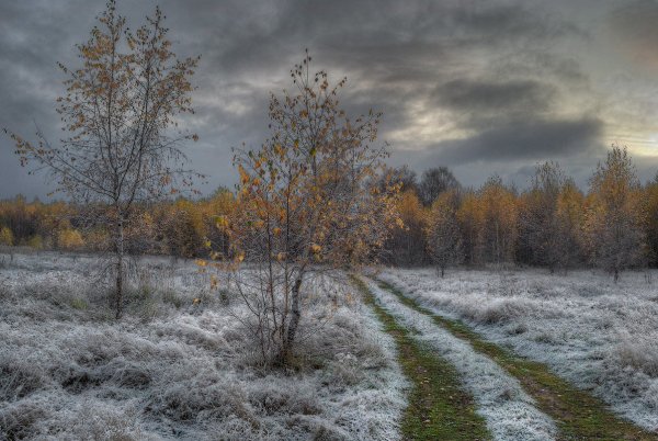Первый снег