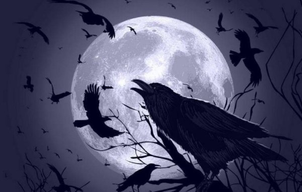Ворон на ветке Луна