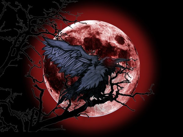 Красный ворон