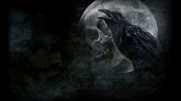Ворон и Луна