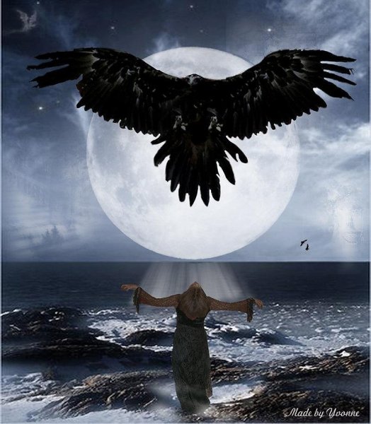 Ворон сидит на мече