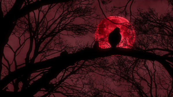 Ворон Кровавая Луна