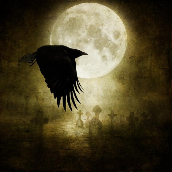 Вороны на фоне Луны