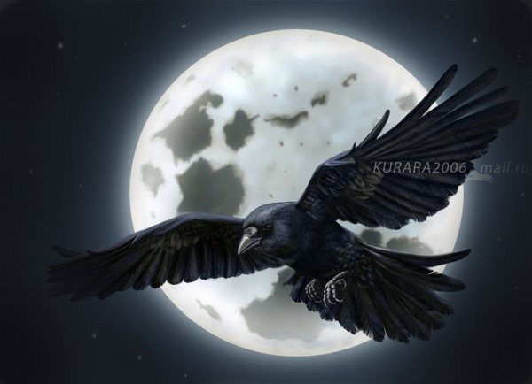 Вещий ворон
