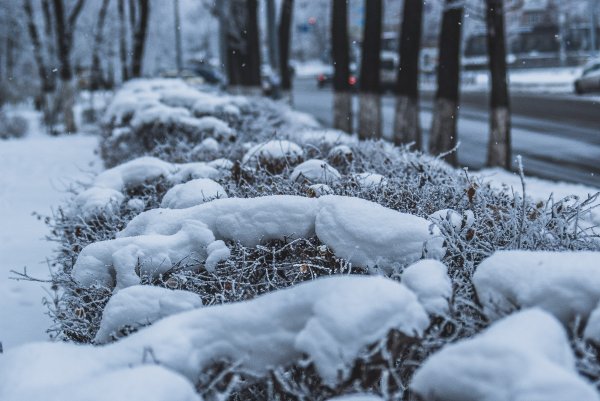 Осадки в виде снега