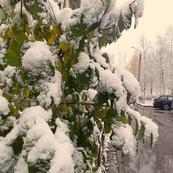 Облачно с прояснениями и снег