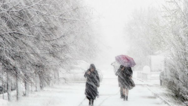 Метель метет