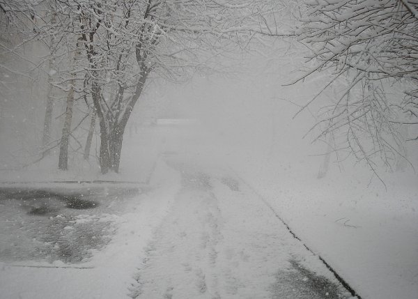 Снег метель