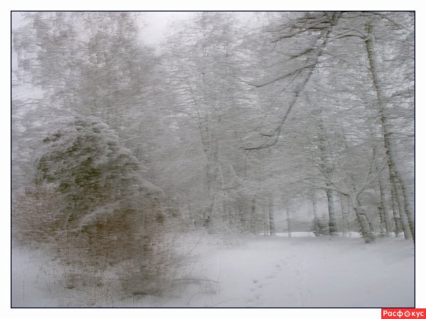 Сильная метель
