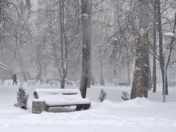 Зима сильный снег