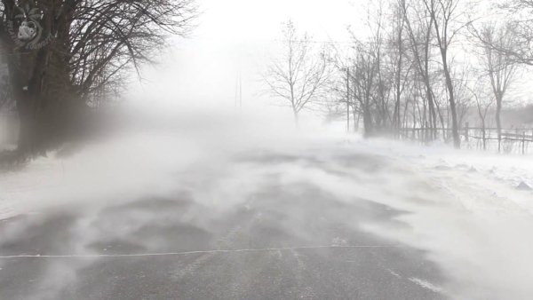 Снежный ветер