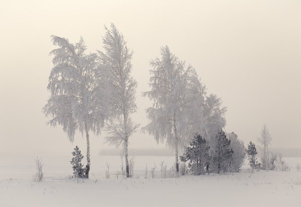 Метель природа