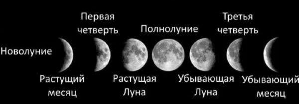Новолуние растущая Луна полнолуние и убывающая