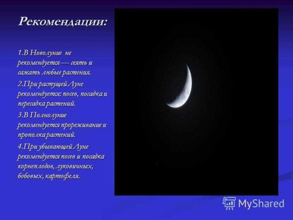 Полнолуние приметы