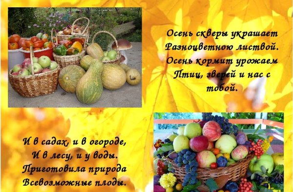 Стихи про урожай для детей