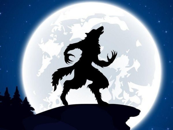 Оборотень воет на луну