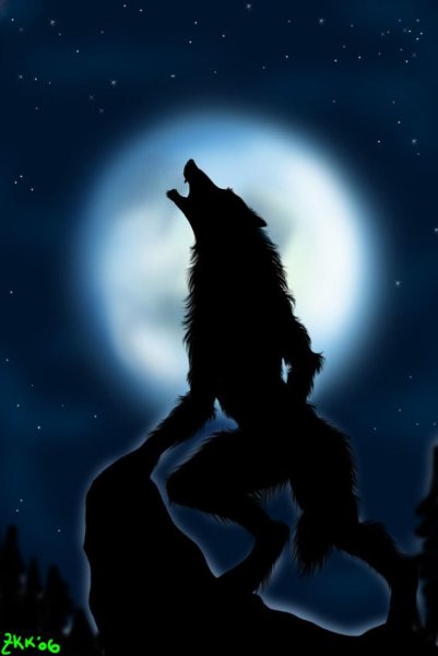 Волк оборотень