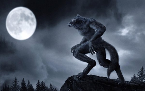 Оборотень картинки