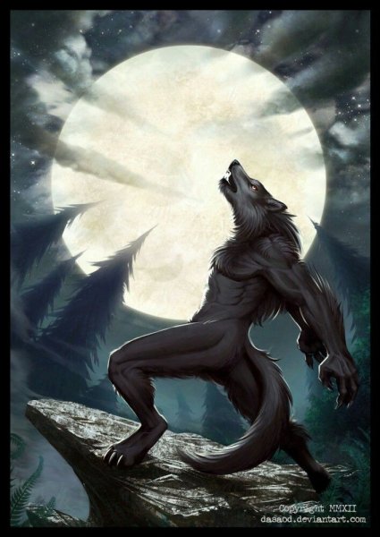 Волк оборотень