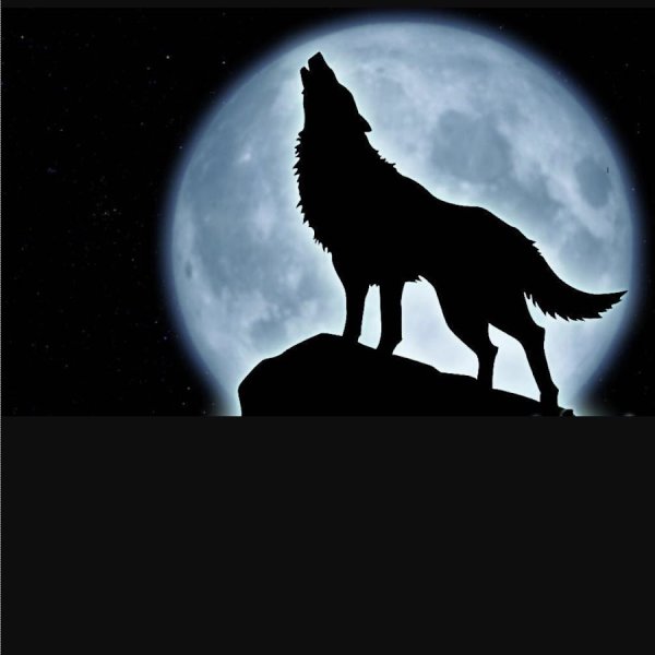 Оборотень воет на луну