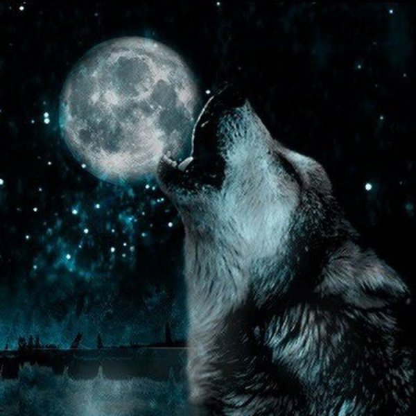 Человек волк воет на луну