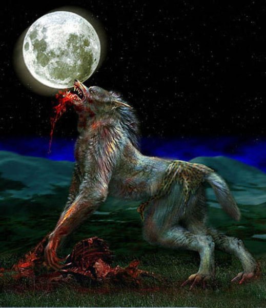 Полнолуние и оборотни