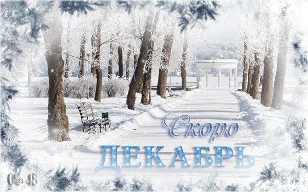 Скоро зима