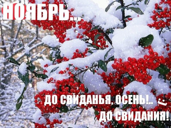 С посдедним днем ночбрв