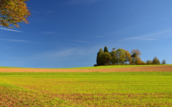 Осенний пейзаж поле