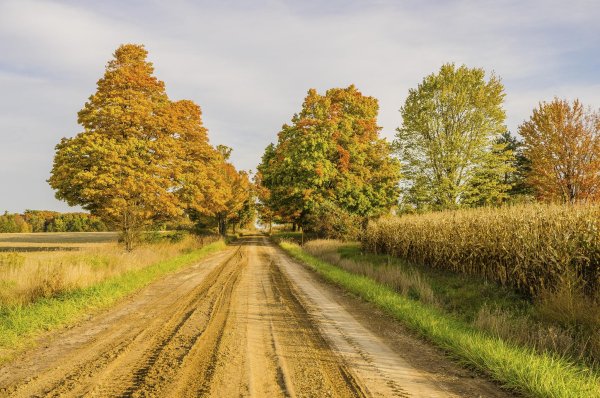 Осенняя Сельская дорога