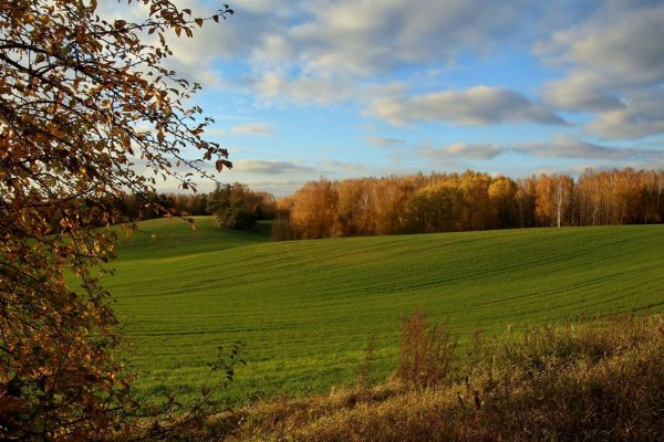Осень поле лес