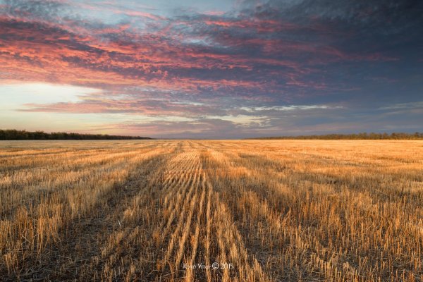 Украинское поле осенью