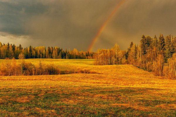 Поле осенью