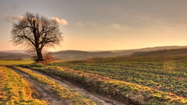 Осенний пейзаж поле
