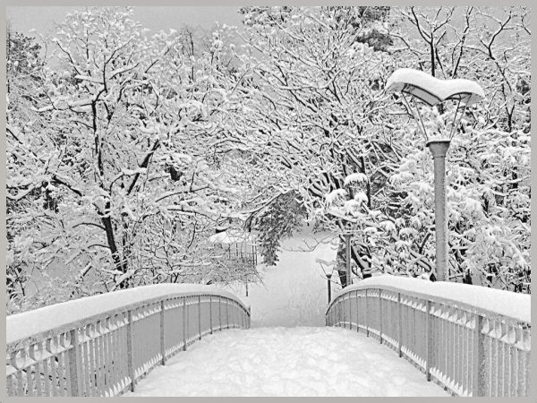 Зимняя аллея с фонарями