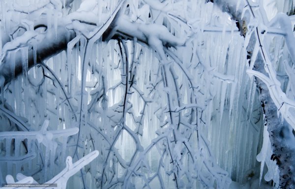 Зима сосульки