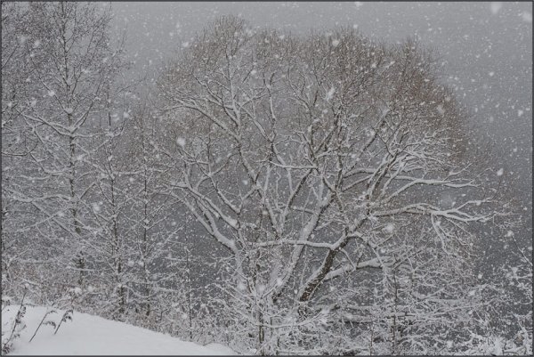 Снег идет хлопьями