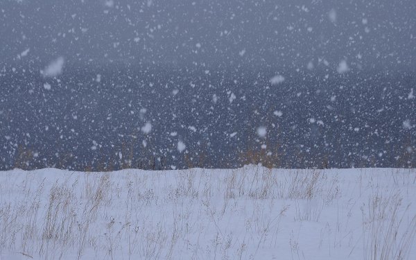 Хлопья снега