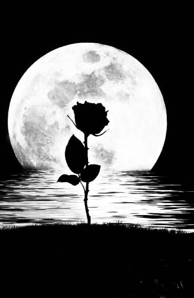 Одиночество под луной