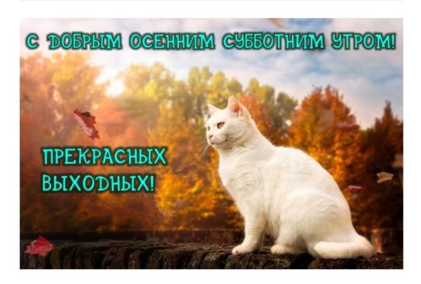 С добрым осенним утром субботы прикольные