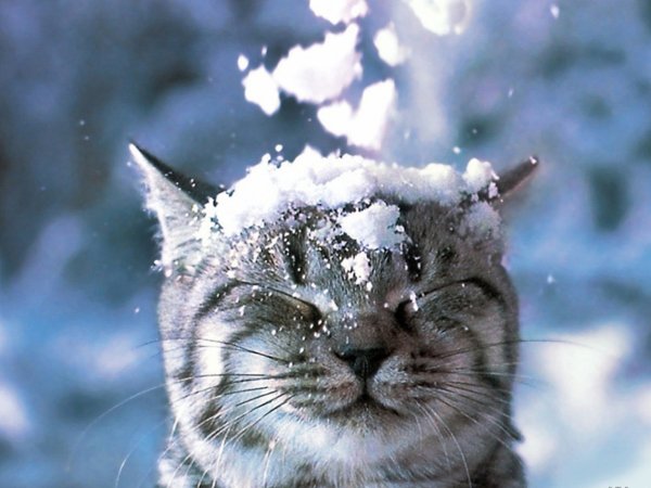 С последним днем зимы