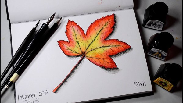 Скетчбук осень