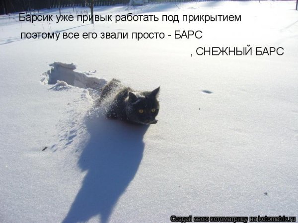 Ну вот и снег