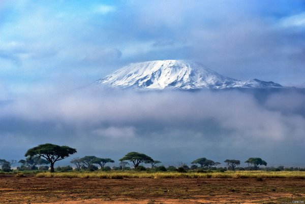 Национальный парк Амбосели Кения